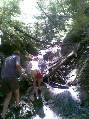 20080705(005) (Medium)